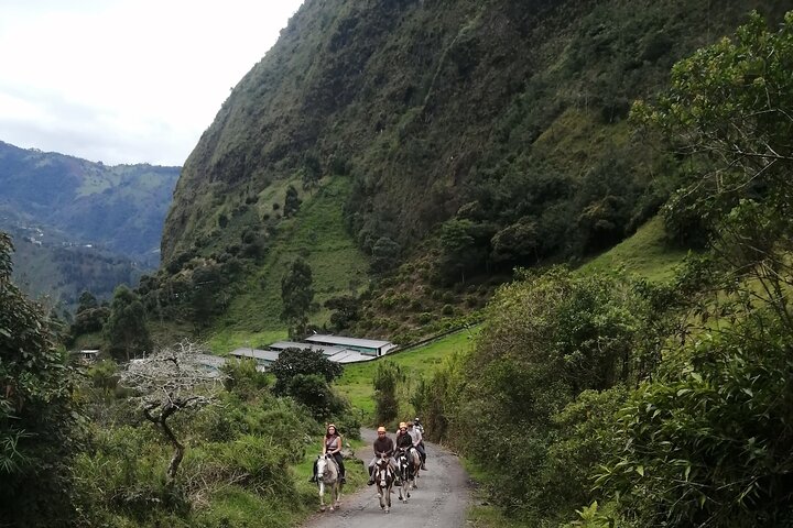 2 Hours Small-Group Horseback Riding Experience in Banos