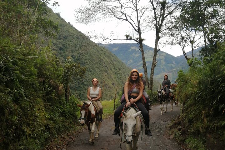 2 Hours Small-Group Horseback Riding Experience in Banos