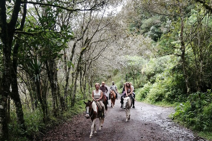 2 Hours Small-Group Horseback Riding Experience in Banos