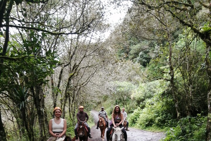 2 Hours Small-Group Horseback Riding Experience in Banos