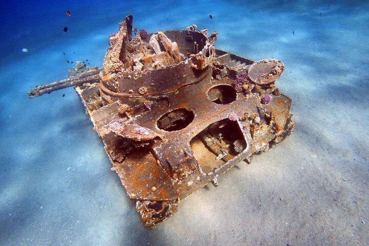 Private Diving Experience in The Heart of Red Sea in Aqaba