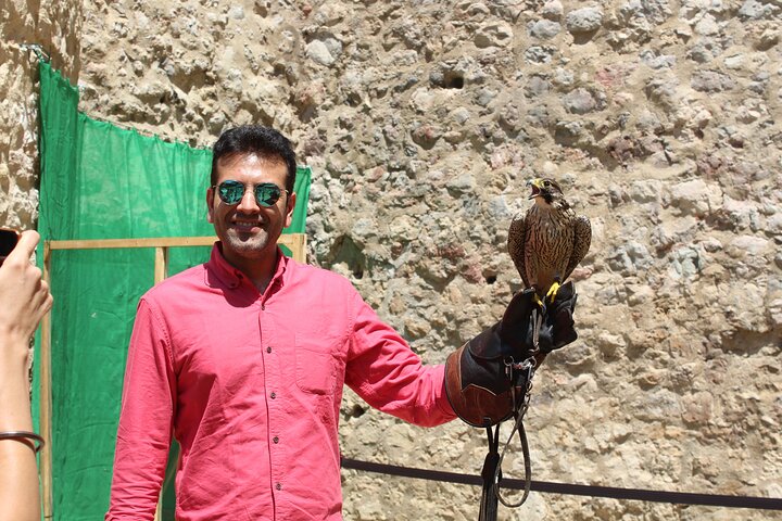 Private Day Tour to Iron Gate Gorge and Golubac Fortress