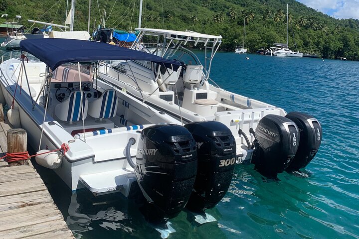 Private All Inclusive Speedboat to Soufriere with Lunch, Mud Bath & Waterfall