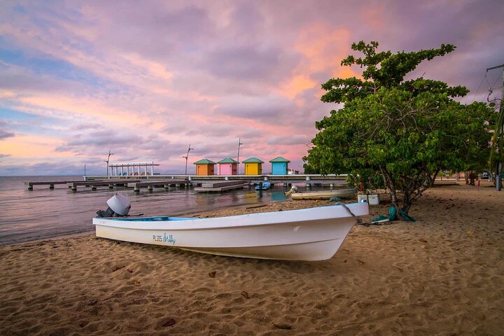 Belize International Airport - Placencia PRIVATE SHUTTLE