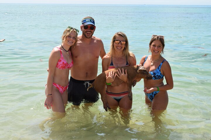 Swimming with Pigs in Nassau, Transportation Included