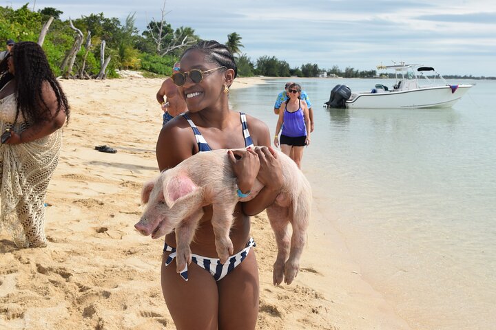 Swimming with Pigs in Nassau, Transportation Included