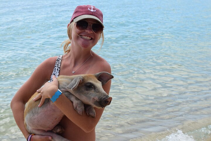 Swimming with Pigs in Nassau, Transportation Included