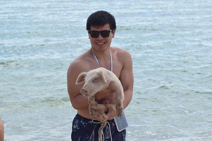 Swimming with Pigs in Nassau, Transportation Included