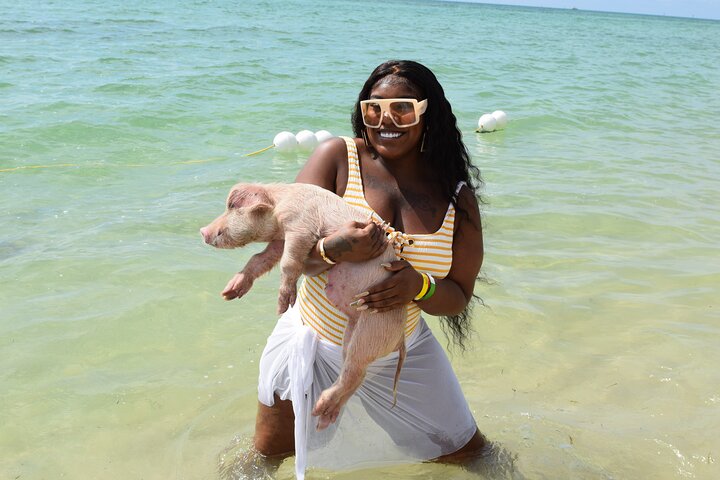 Swimming with Pigs in Nassau, Transportation Included