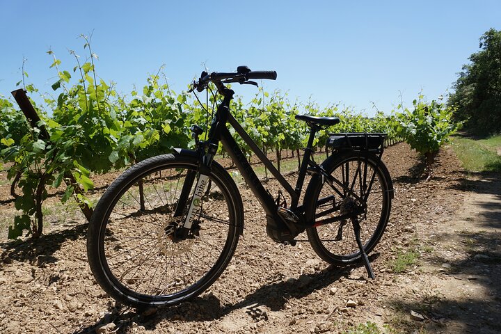 The Carrières de Lumières by bike for half-day