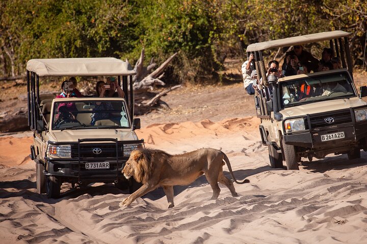 2 Nights 3 Days Chobe Safari ex Livingstone/ Victoria Falls