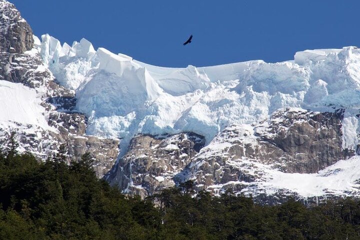 Balmaceda & Serrano Glaciers Cruise with Traditional Lunch