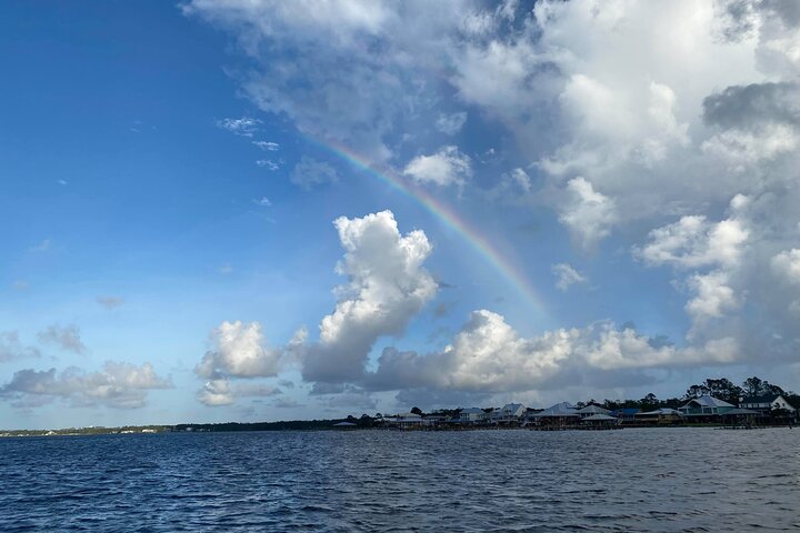 2-Hour Dolphin and Nature Eco Tour from Orange Beach