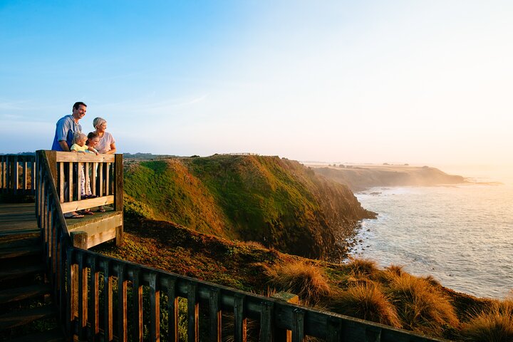 Phillip Island Penguin and Koala Highlights Day-Trip from Melbourne