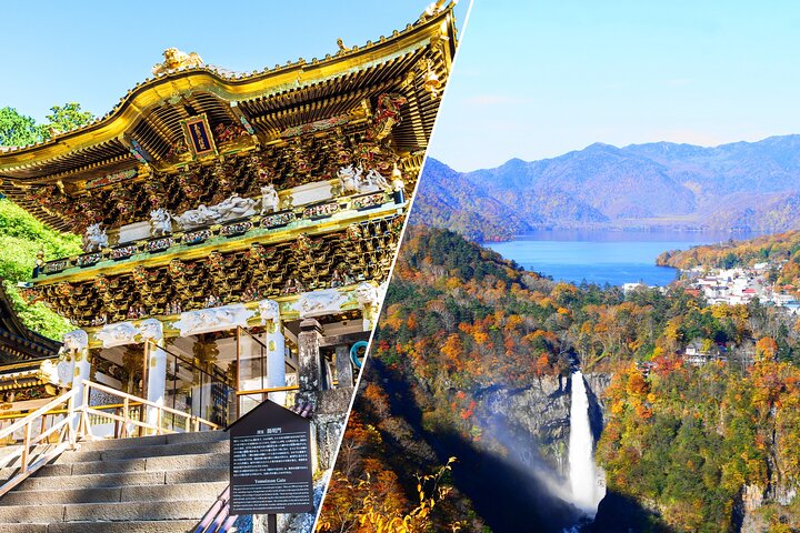 Nikko Half-Day Private Car Tour: English Driver, No Guide