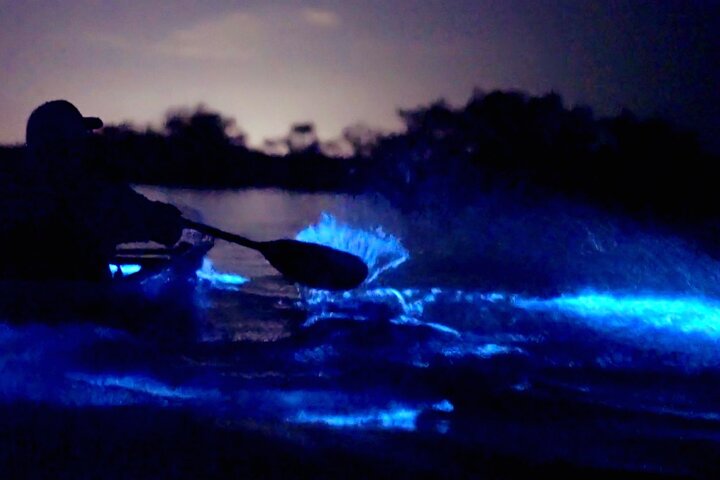 Clear Kayak Bioluminescence Tour - Cocoa Beach