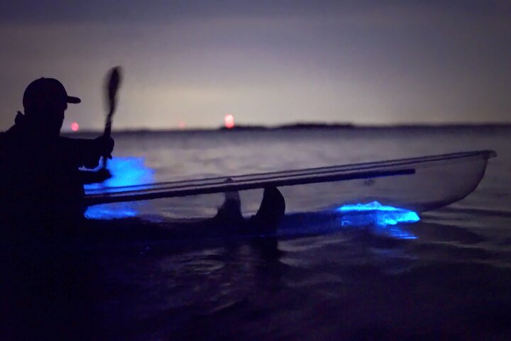 Clear Kayak Bioluminescence Tour - Cocoa Beach