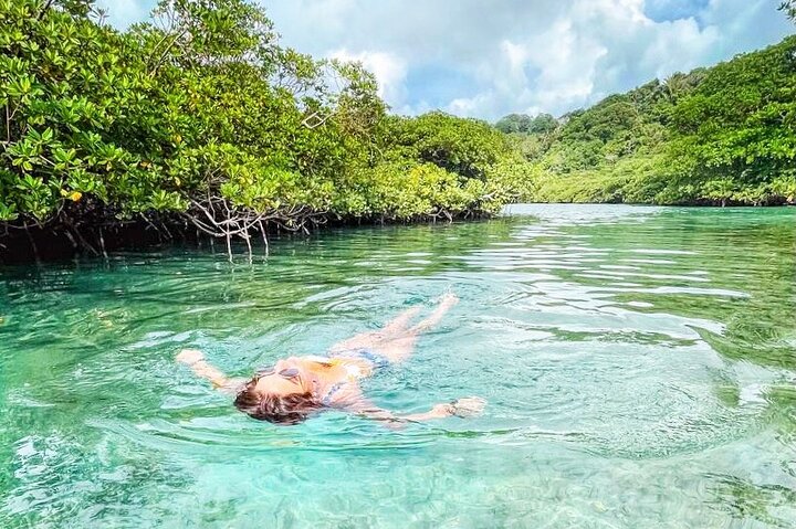 Caribbean Catamaran Day Cruise: Beaches, Snorkeling & Lunch