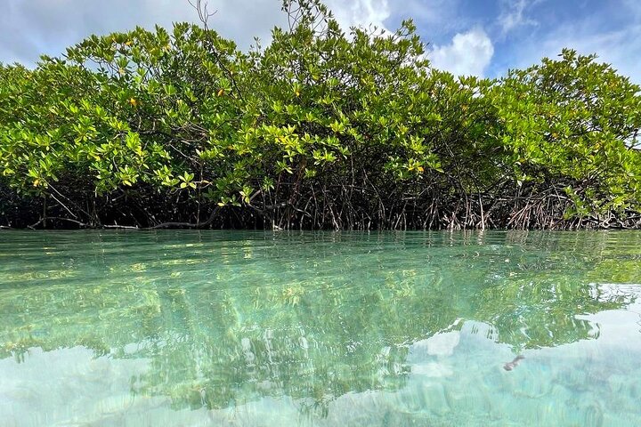 Caribbean Catamaran Day Cruise: Beaches, Snorkeling & Lunch