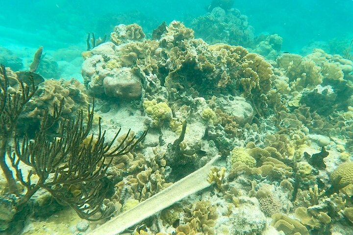 Caribbean Catamaran Day Cruise: Beaches, Snorkeling & Lunch