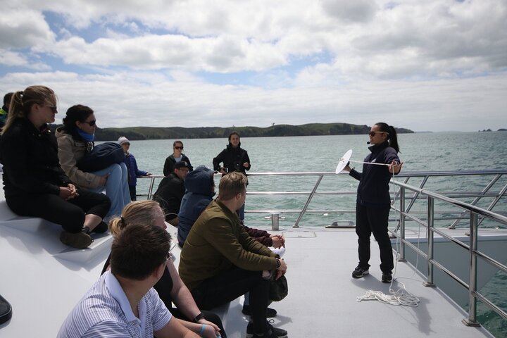 Auckland Dolphin and Whale Watching Eco-Safari Cruise