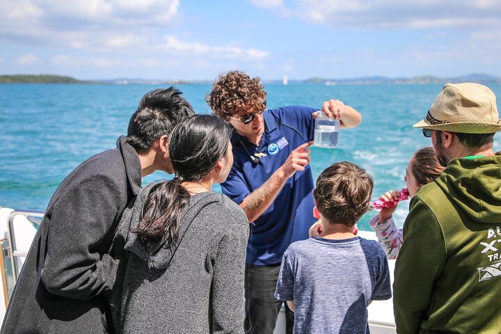 Auckland Dolphin and Whale Watching Eco-Safari Cruise