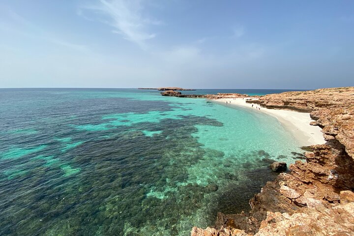 Snorkeling at Dimaniyat Islands and Dolphin Watching (Half-Day)