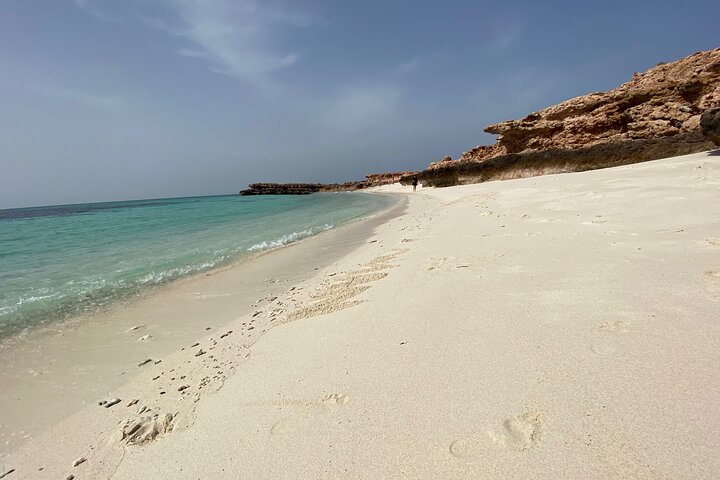 Snorkeling at Dimaniyat Islands and Dolphin Watching (Half-Day)