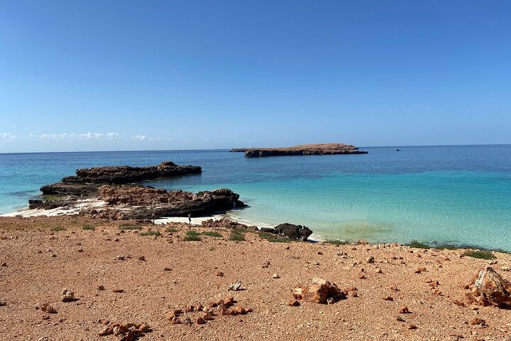 Snorkeling at Dimaniyat Islands and Dolphin Watching (Half-Day)