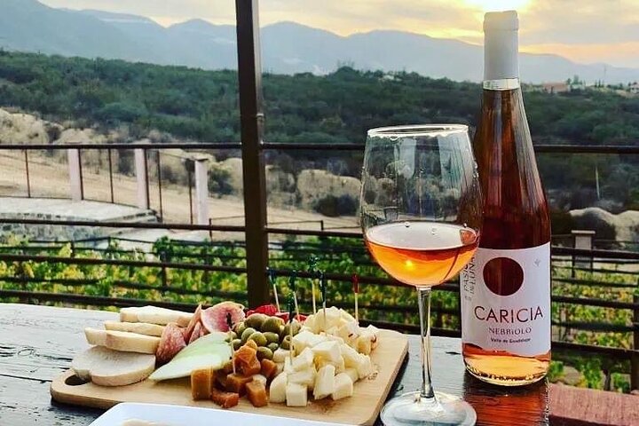 Wine tasting Valle de Guadalupe & Casa Frida