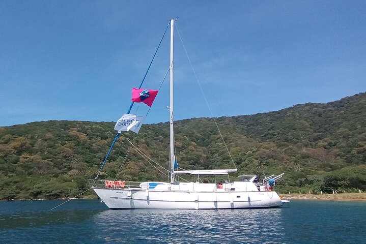 Sailing to Tayrona with Luis and his team: Unique!