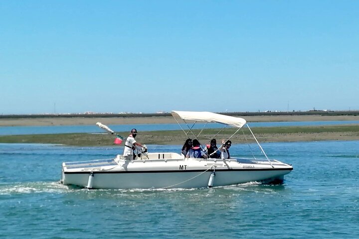 Eco Boat Tour in the Ria Formosa Lagoon from Faro