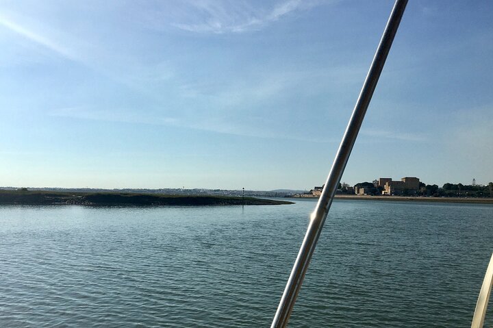 Eco Boat Tour in the Ria Formosa Lagoon from Faro
