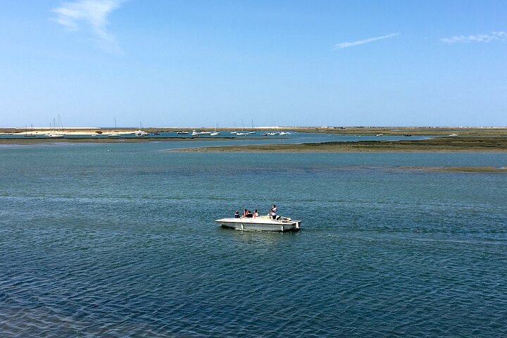 Eco Boat Tour in the Ria Formosa Lagoon from Faro