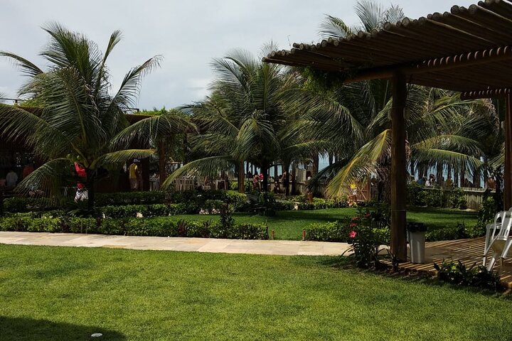 Tour 3 Beaches in 1 day (Morro Branco, Praia das Fontes and Canoa Quebrada)