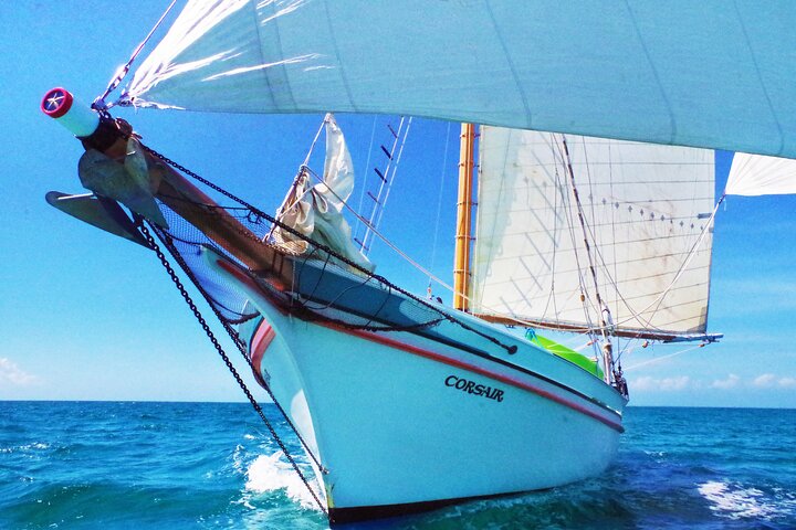4-hour snorkel cruise to Underwater Sculptures with boat dogs