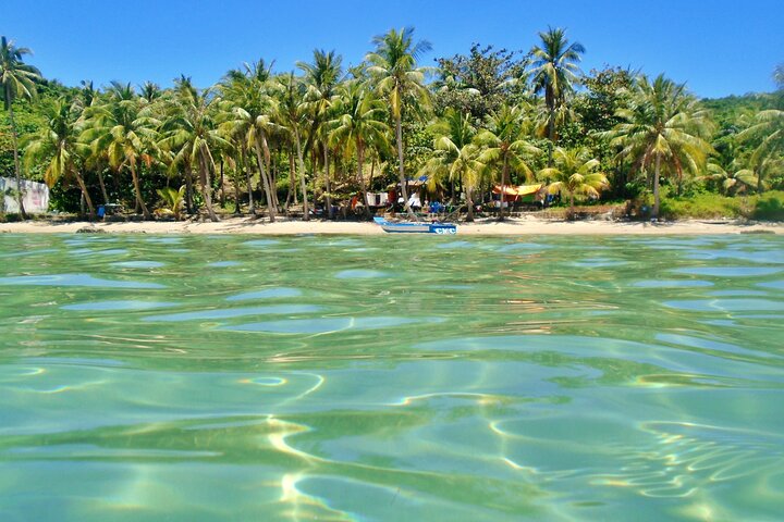 PRO-SNORKELING to Explore Hidden Coral Reefs (MAX 10 PAX)