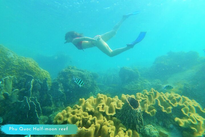 PRO-SNORKELING to Explore Hidden Coral Reefs (MAX 10 PAX)
