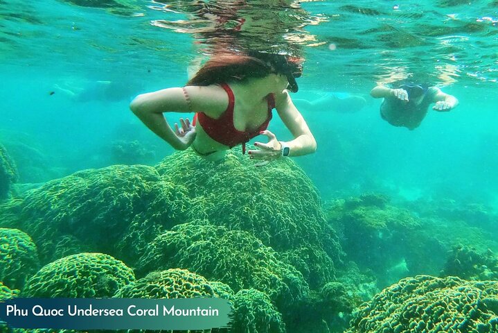 PRO-SNORKELING to Explore Hidden Coral Reefs (MAX 10 PAX)