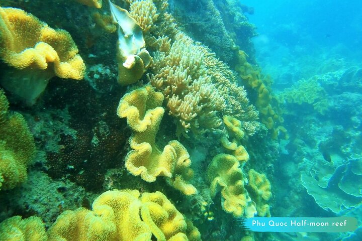 OnBird - Private family KID-FRIENDLY Snorkeling trip by speedboat in Phu Quoc