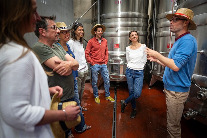 Small-Group Half-Day Languedoc Pic Saint-Loup Wine Tour from Montpellier