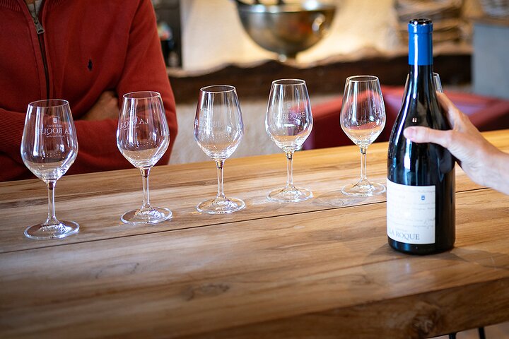 Small-Group Half-Day Languedoc Pic Saint-Loup Wine Tour from Montpellier