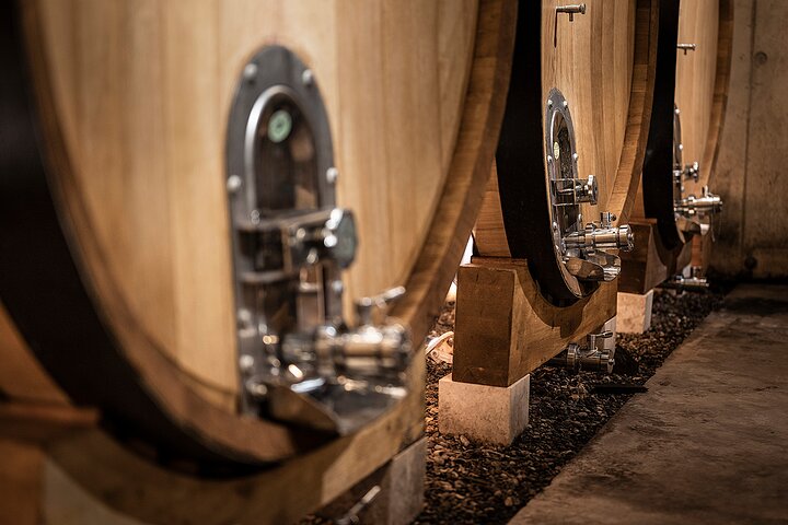 Small-Group Half-Day Languedoc Pic Saint-Loup Wine Tour from Montpellier