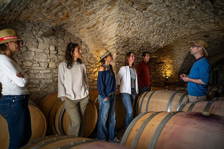 Small-Group Half-Day Languedoc Pic Saint-Loup Wine Tour from Montpellier