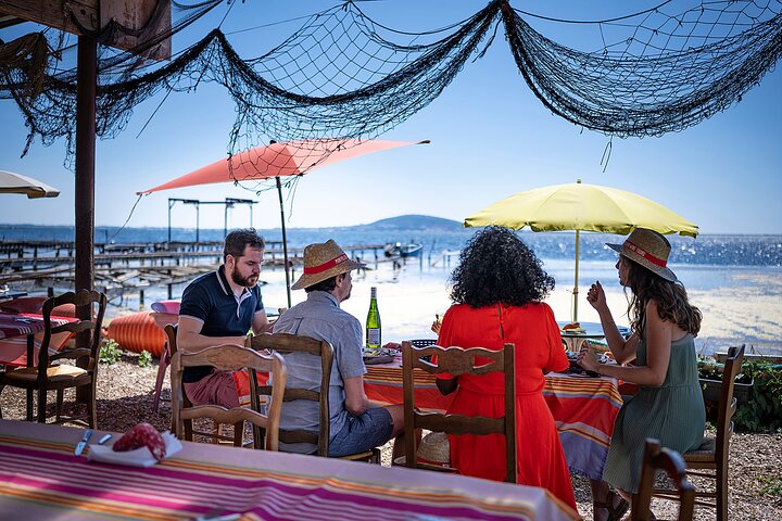 Private Half-Day Languedoc Wine and Oyster Tour from Sète