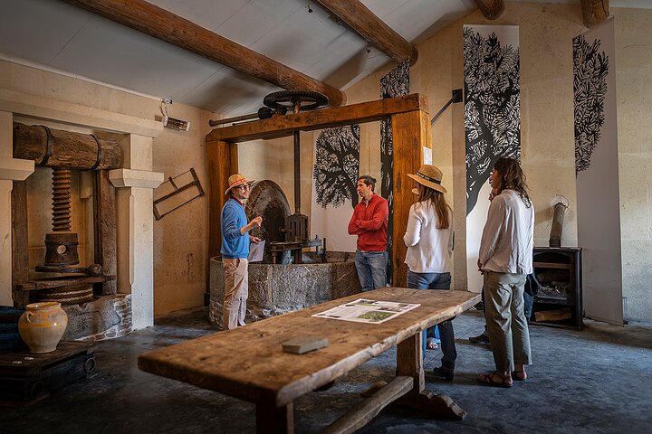 Small-Group Half-Day Languedoc Wine and Olive Tour from Montpellier