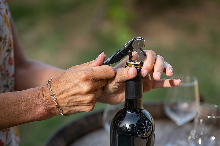 Small-Group Half-Day Languedoc Wine and Olive Tour from Montpellier