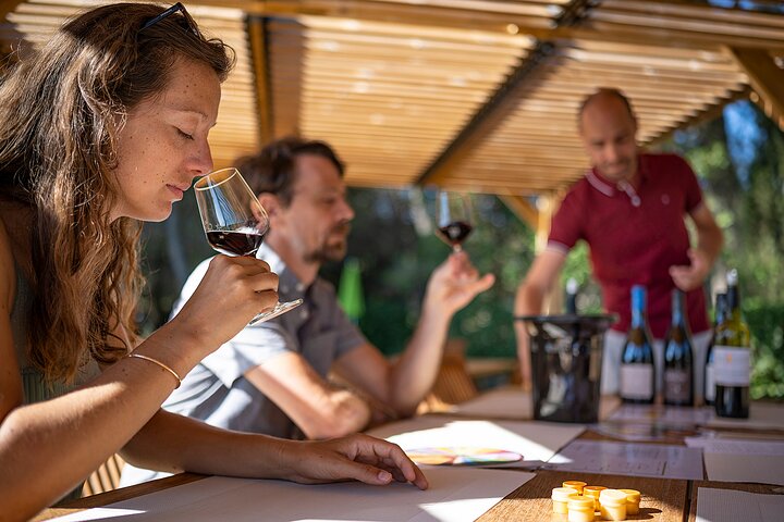 Private Half-Day Languedoc Wine Tour from Sète