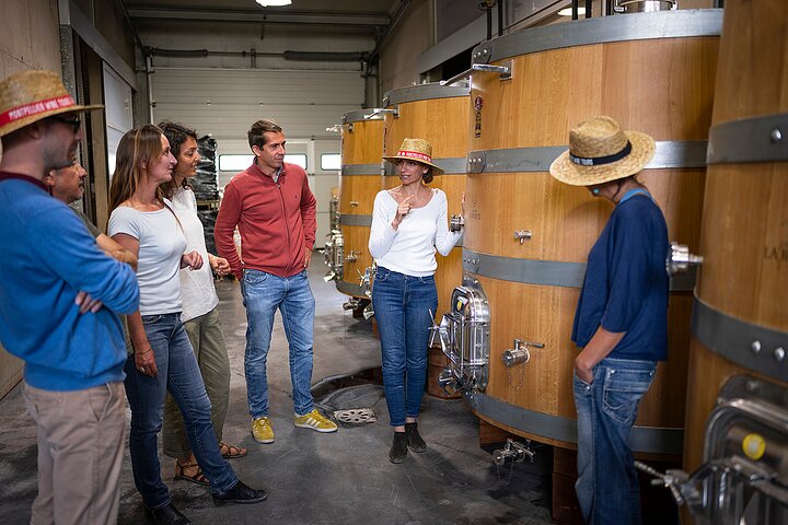 Private Half-Day Languedoc Wine Tour from Sète