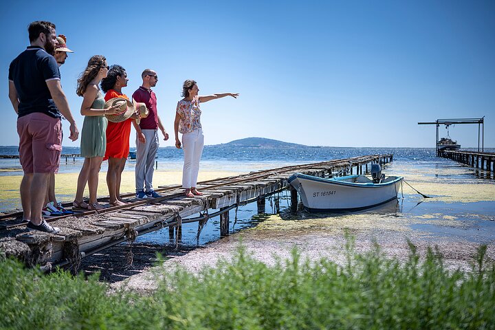 Private Half-Day Languedoc Wine and Oyster Tour from Sète